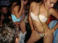 /album/fotogaleria/dsc02111-jpg/